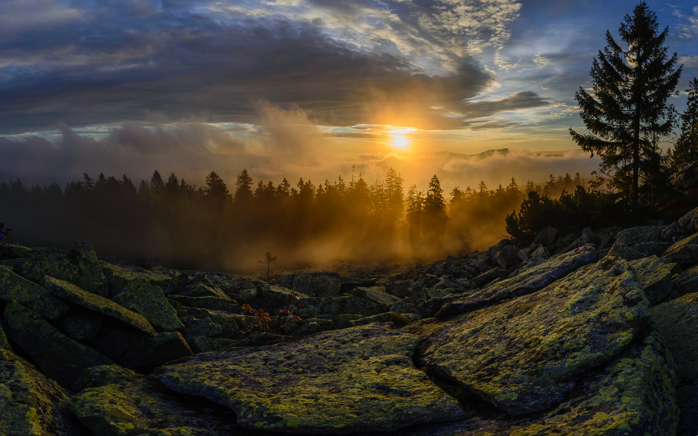 goldener Morgen