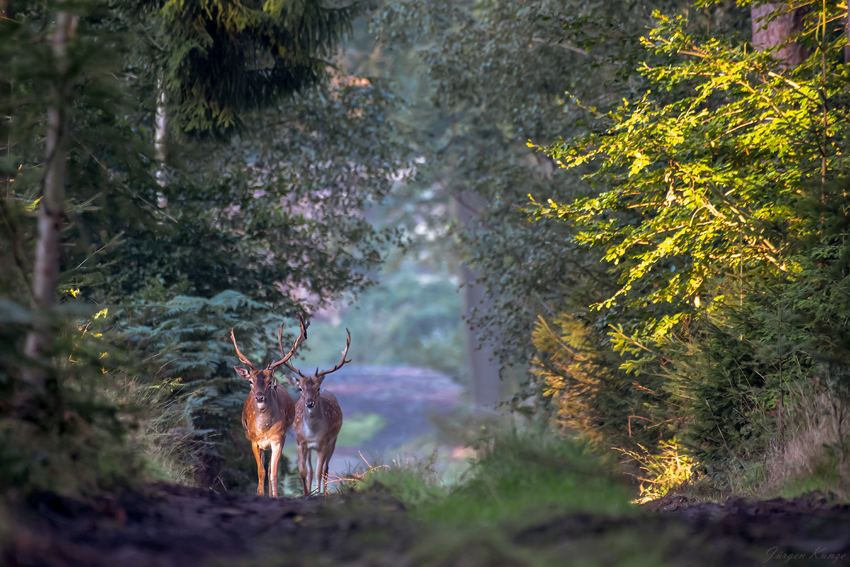 Ein Herrenmorgen