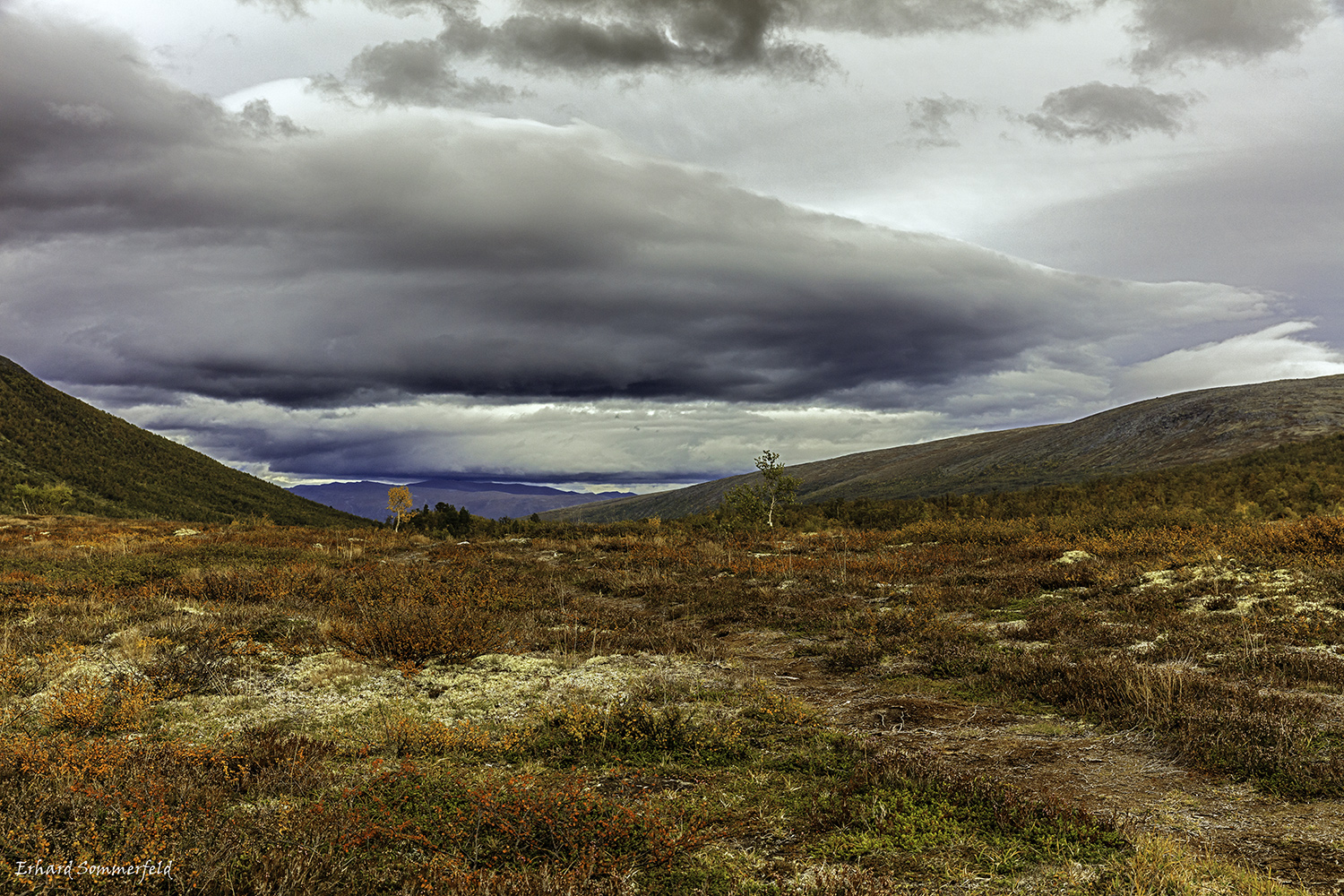 Tal Dindalen
