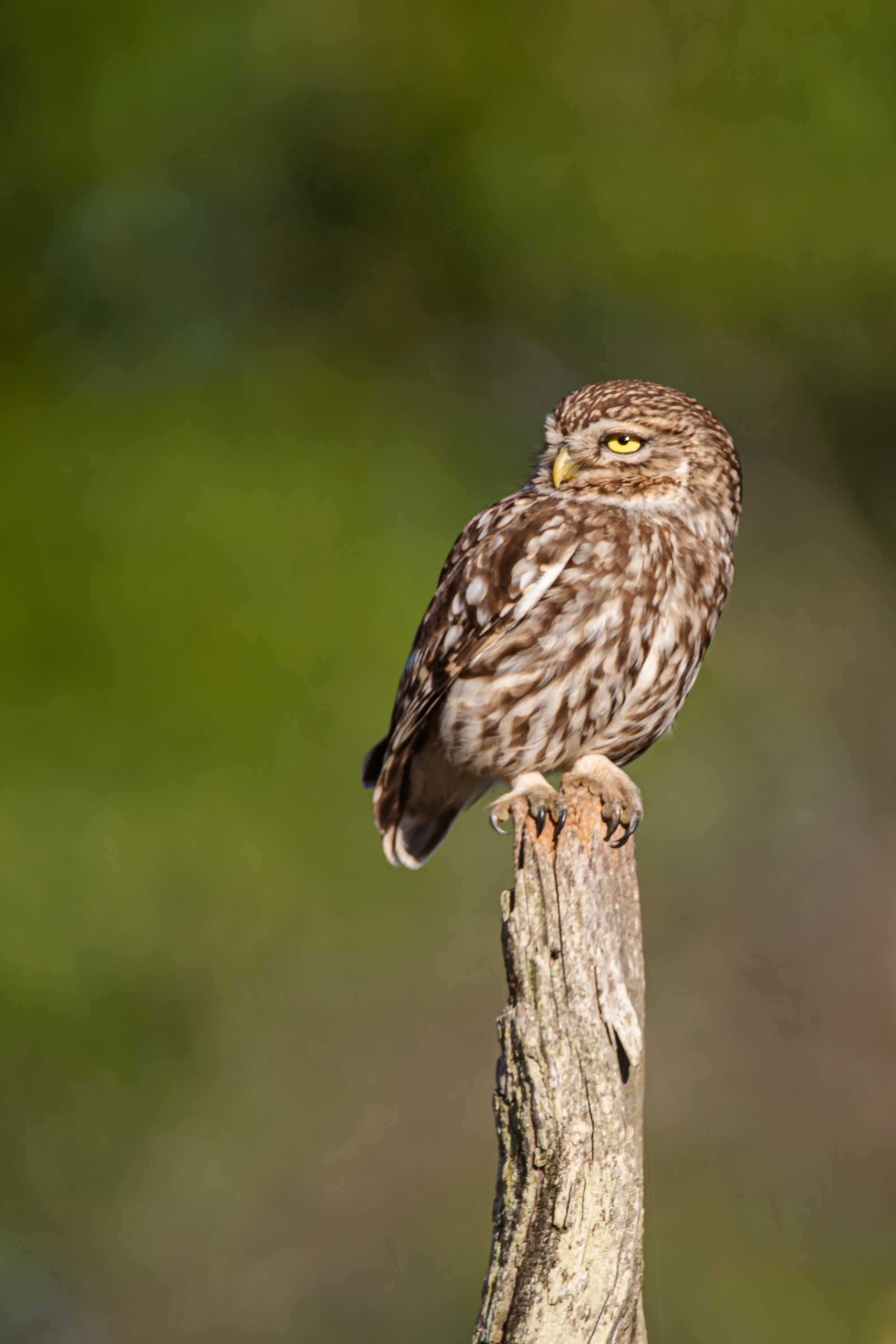 Alles im Blick