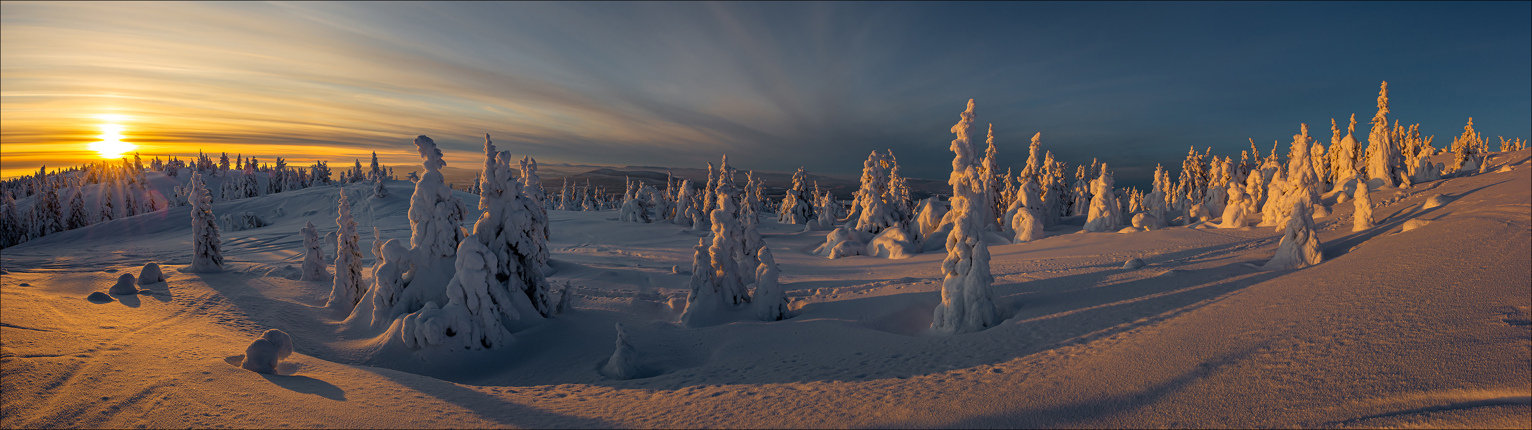Winterfreude