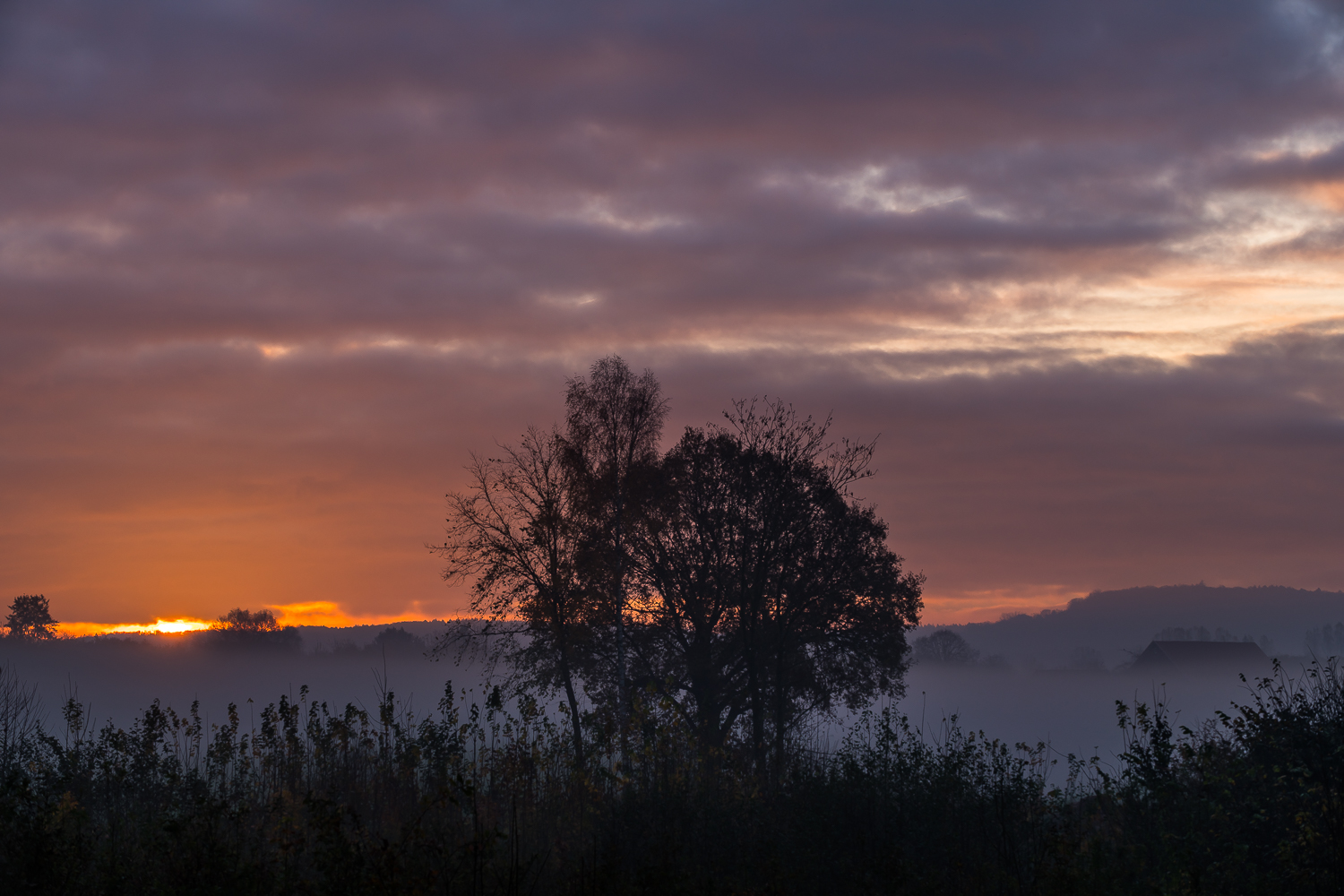 Sonnenaufgang in der Nebellandschaft