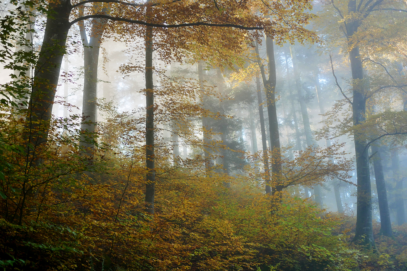 Sonniger Herbsttag