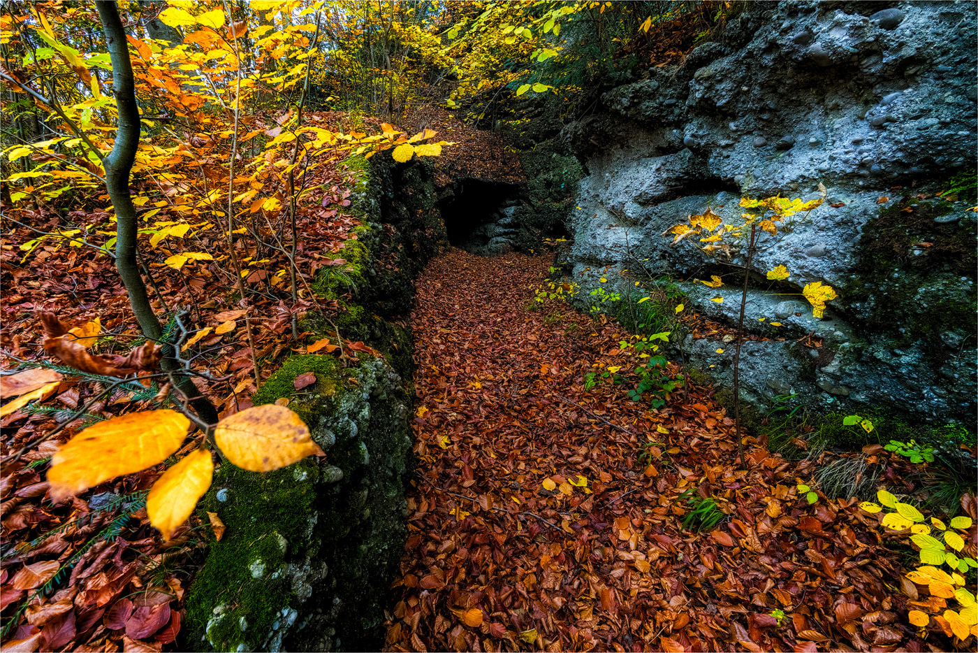 Nagelfluhöhle