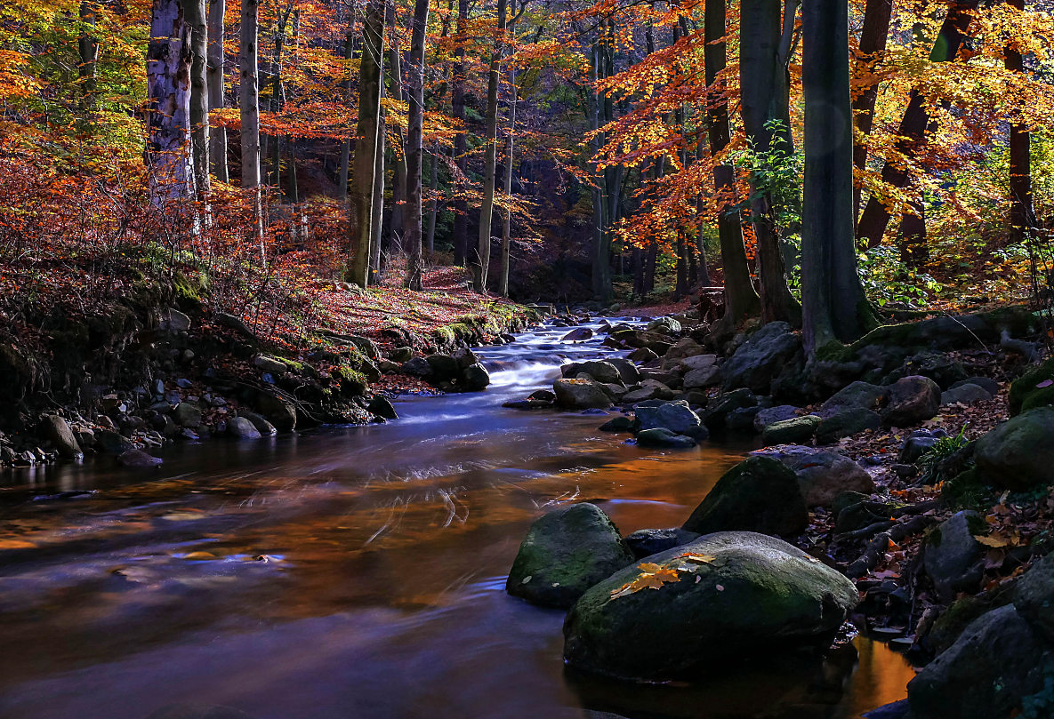 die Ilse im Herbstkleid