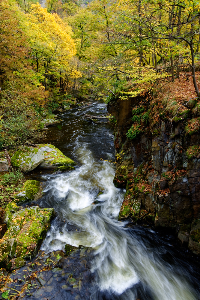 Im Bodetal