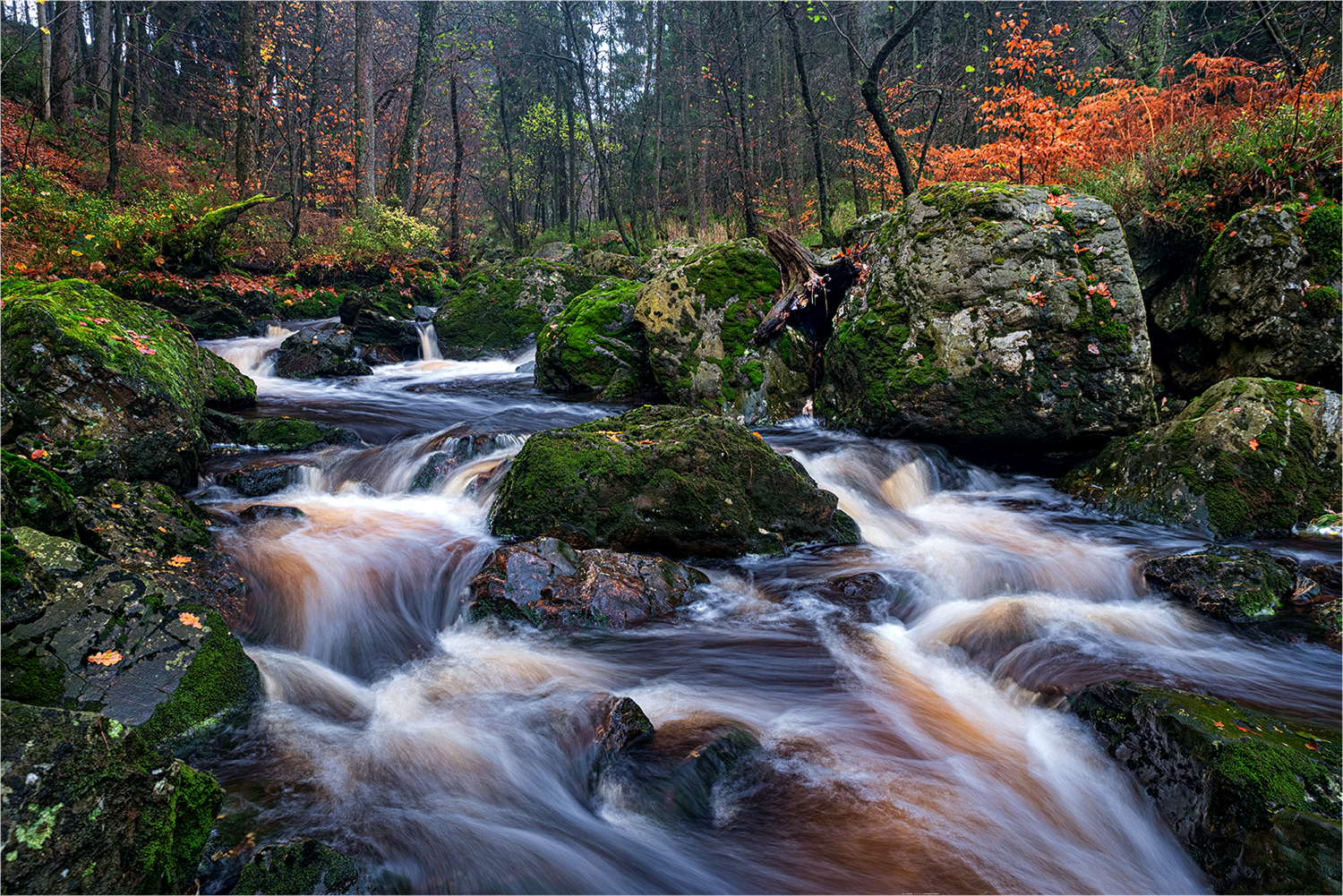 der kleine belgische Fluss