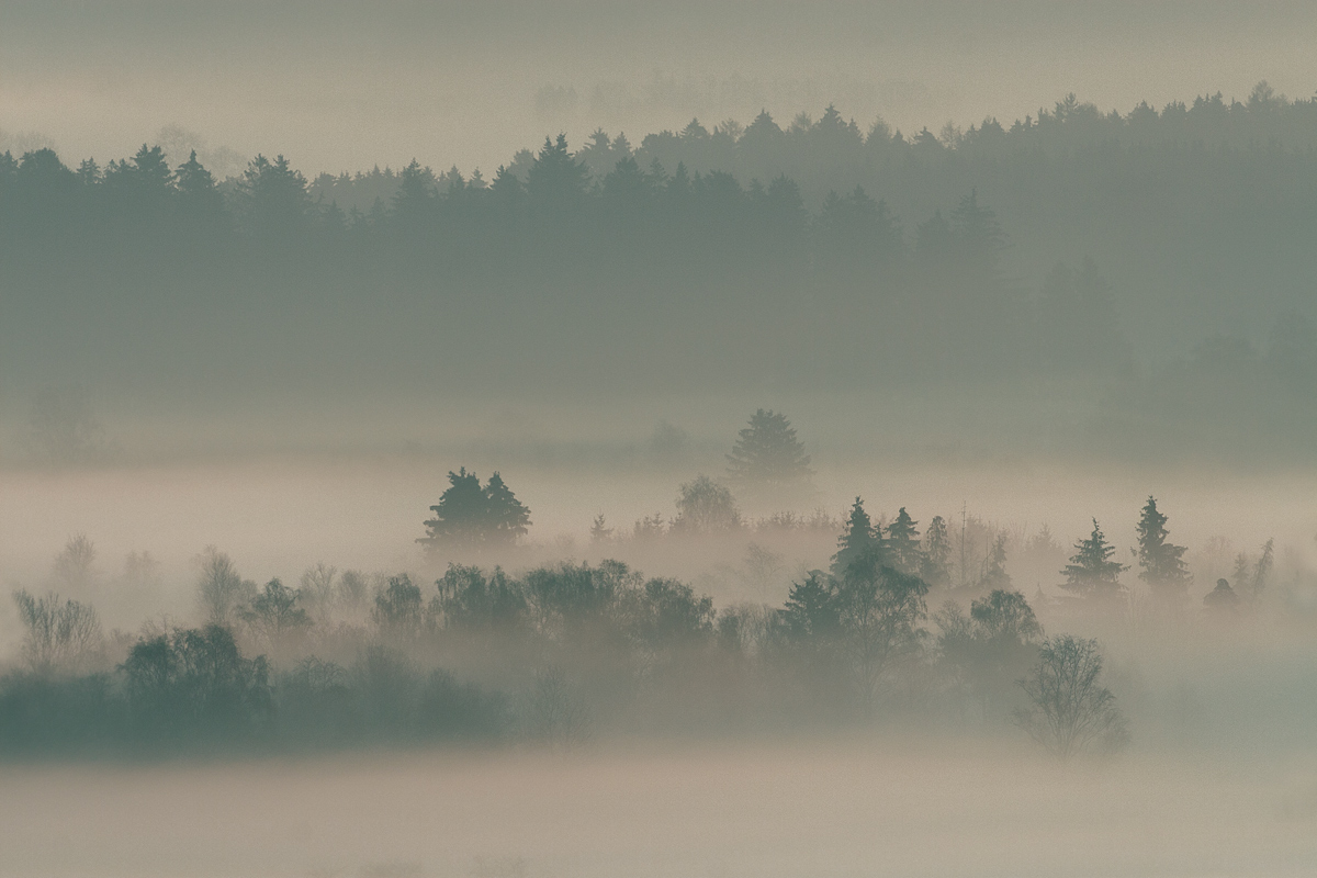 Im Dunst des Nebels