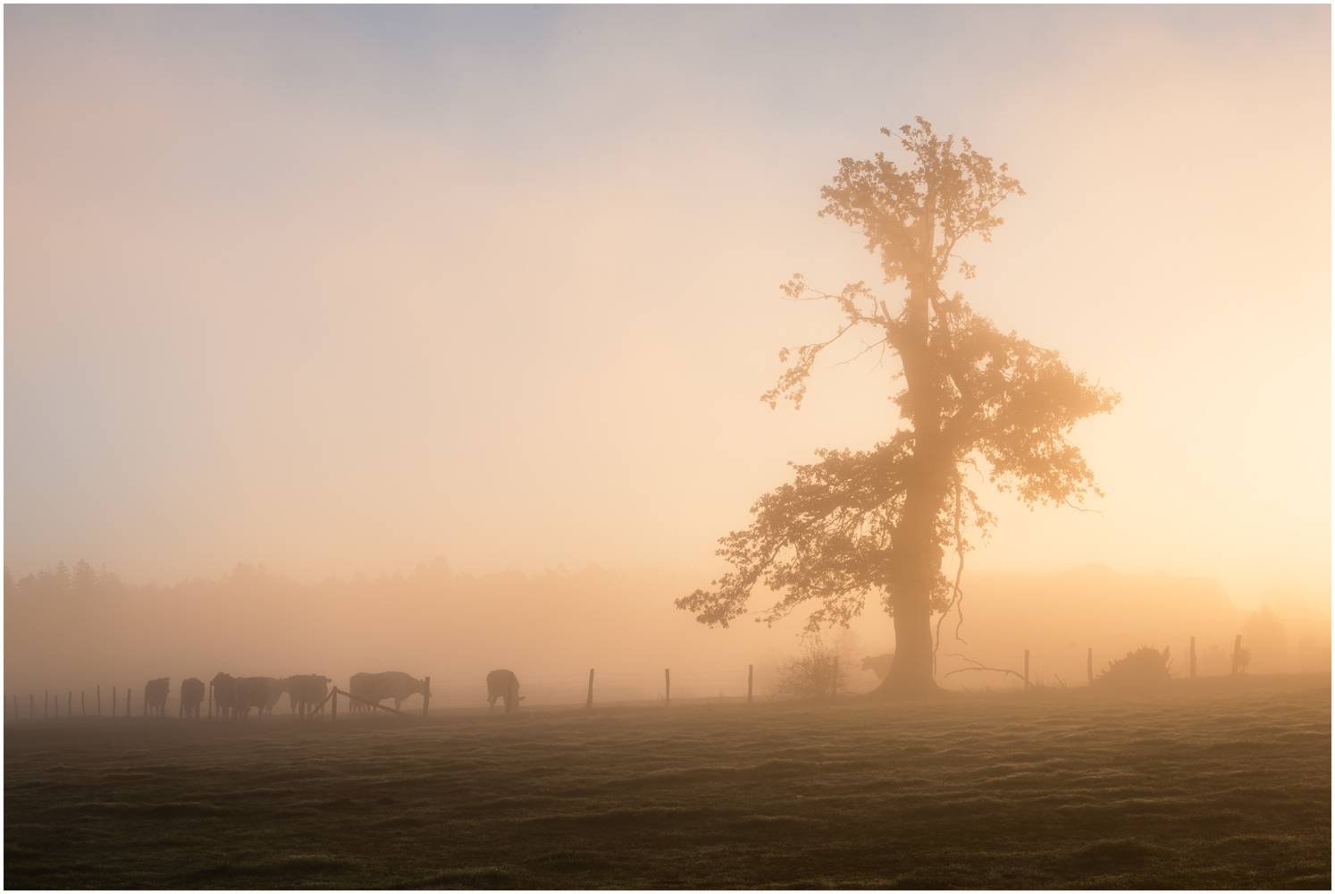 Sonnenaufgang im Nebelmeer