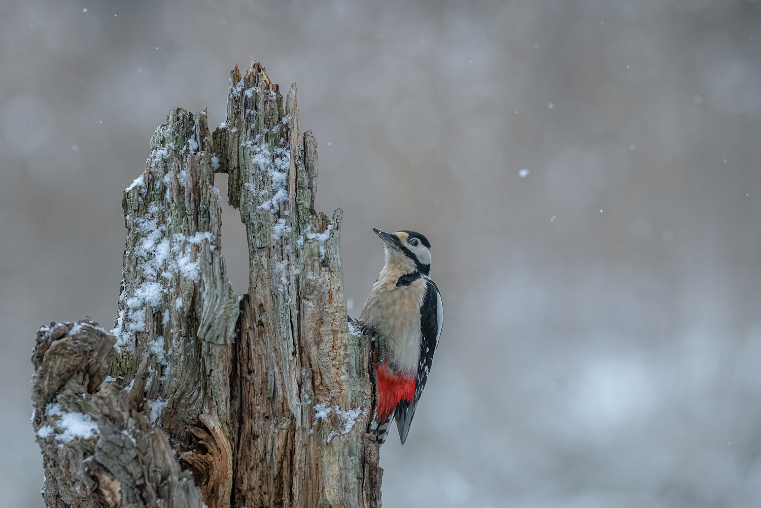 Wenigstens einen Hauch Winter...