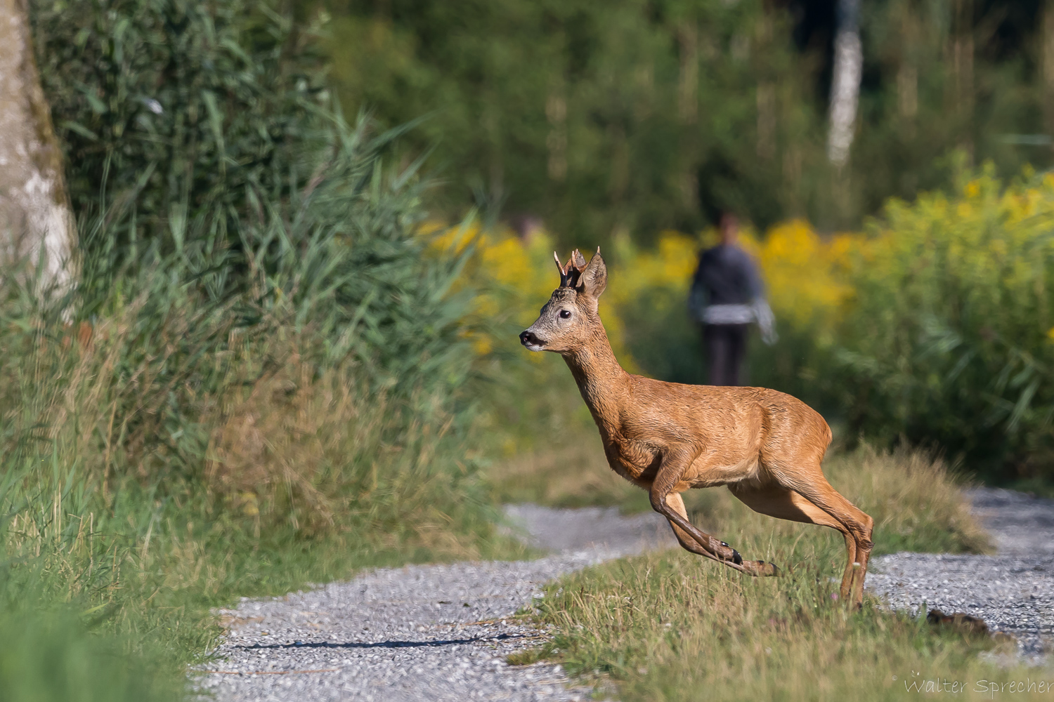 Und weg hier!