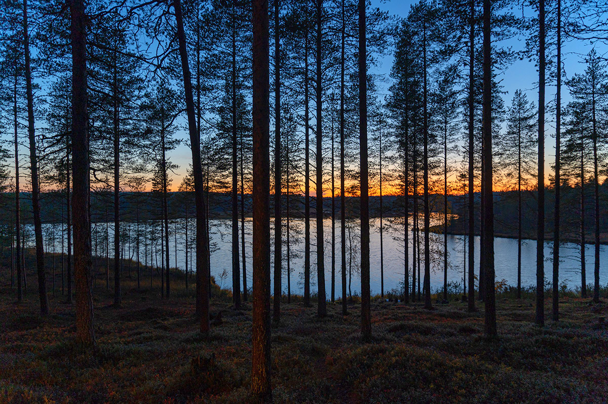 Herbstabend in Lappland