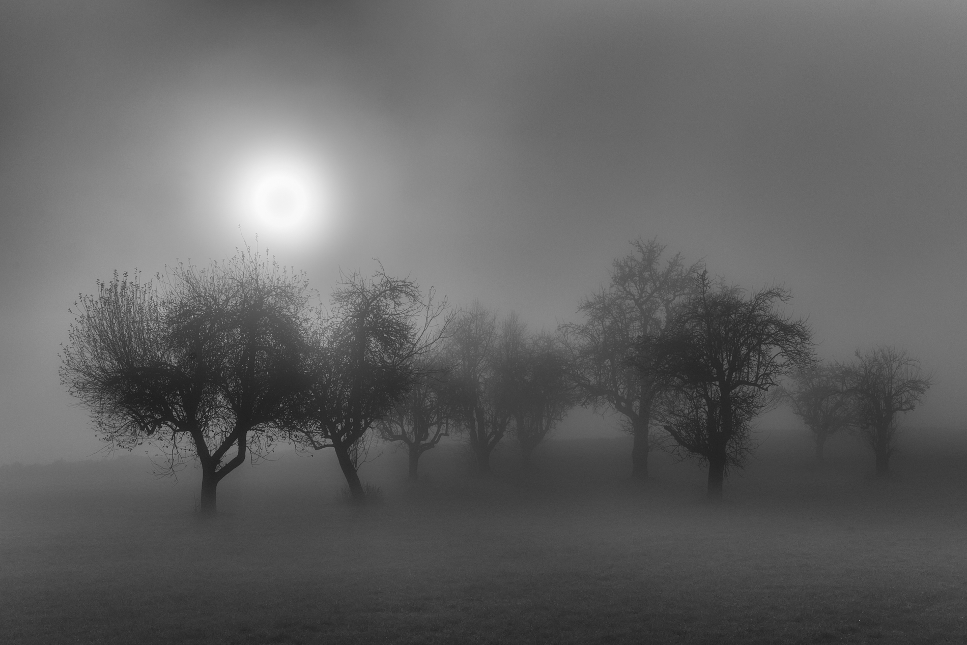 Novemberblues