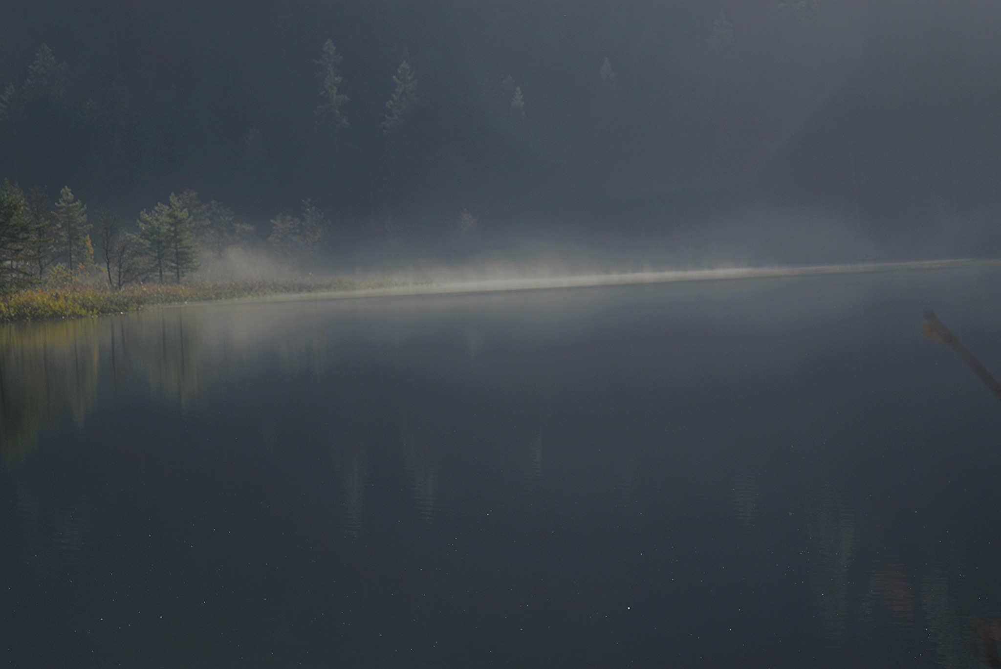 Nebel am Schwanensee