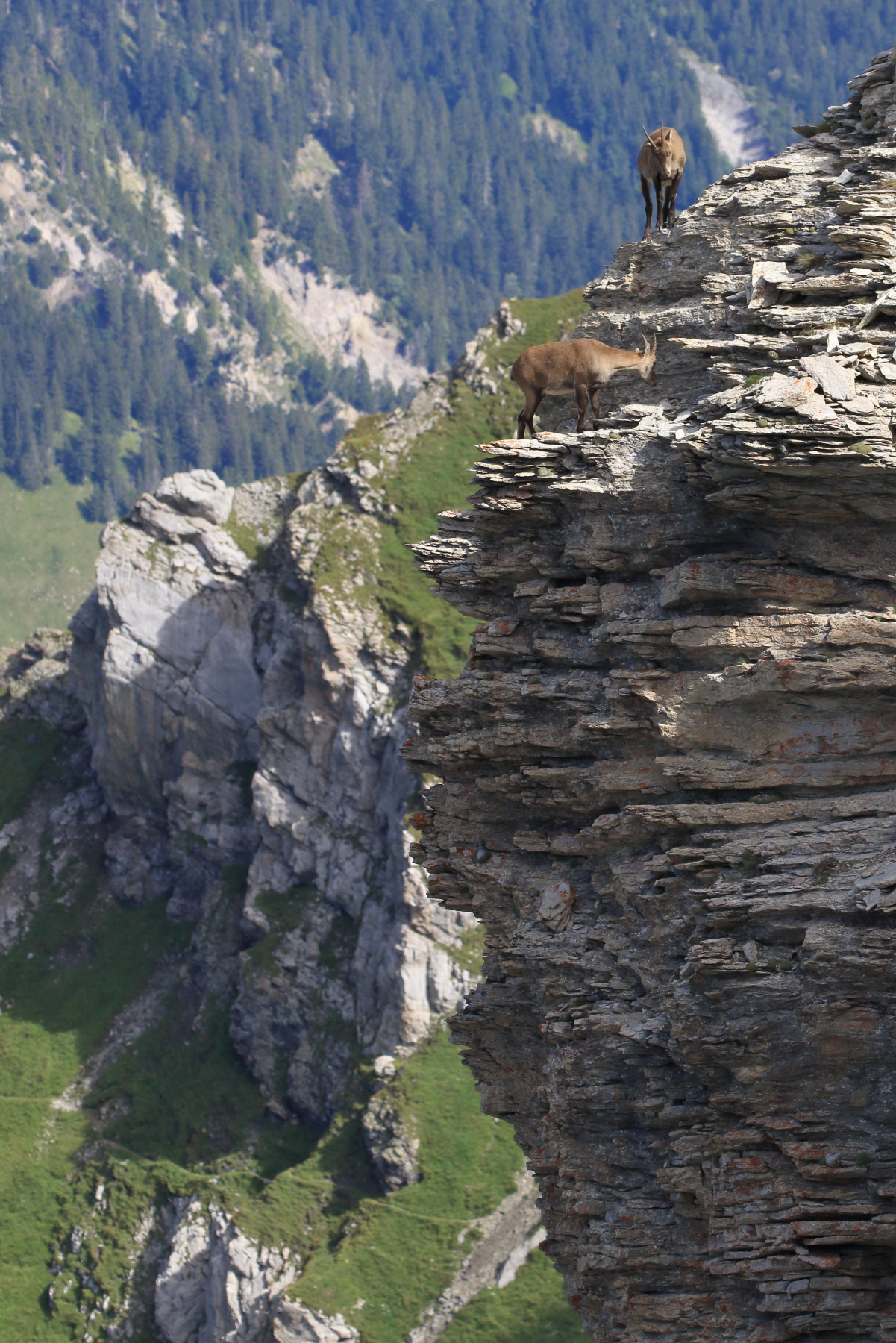 Luftige Angelegenheit