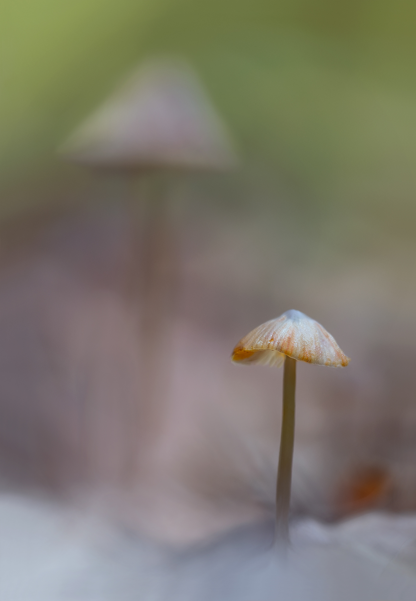 Endspurt/Zieleinlauf