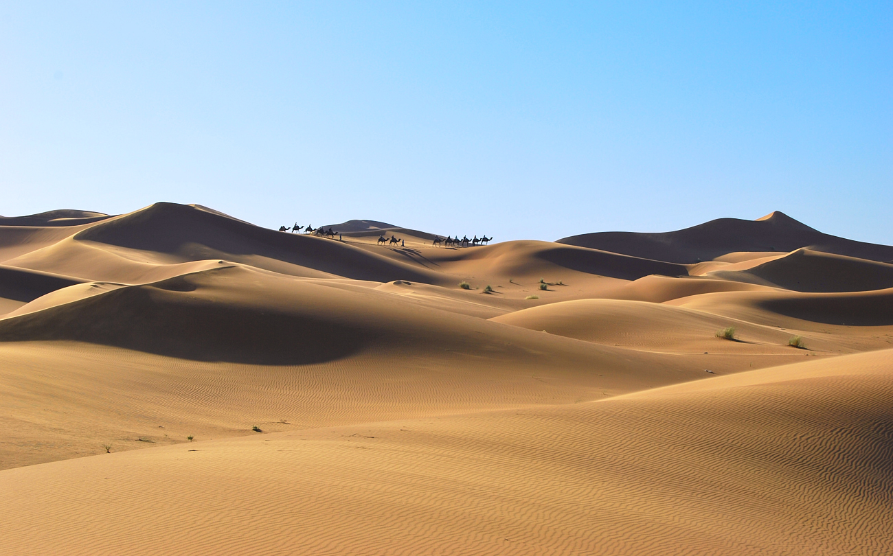 In der Sahara (Forum für Naturfotografen)