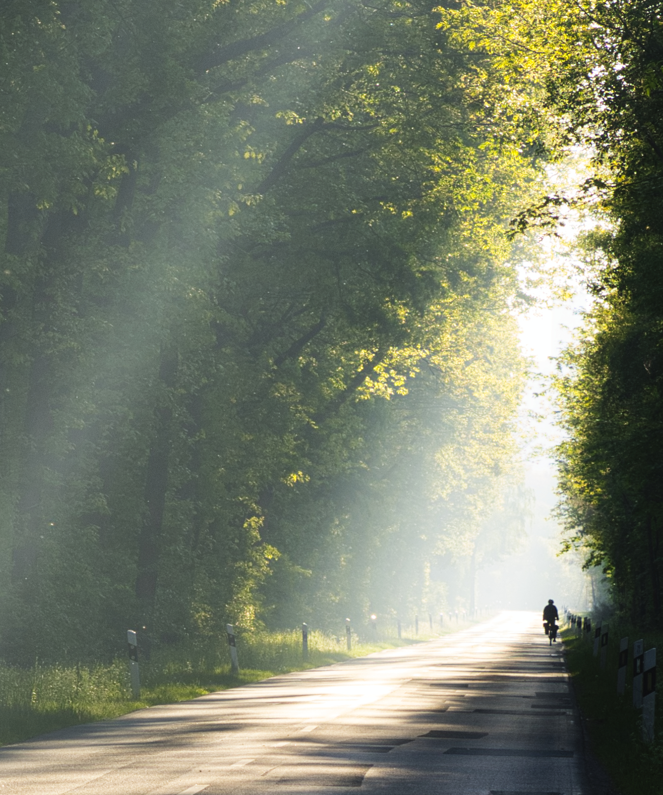 ...auf dem Weg ins Licht...