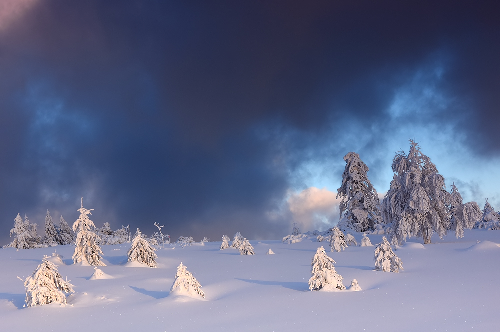 Gleich schneit