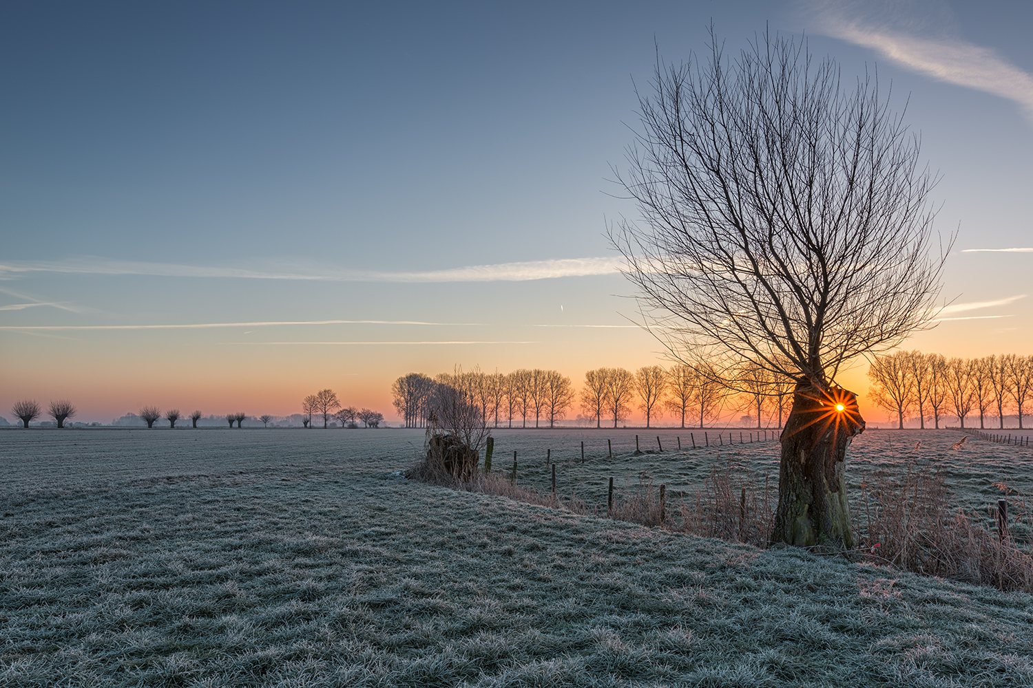Sonnenaufgang in den Poldern