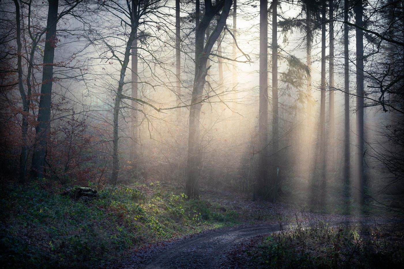 Licht im Rückspiegel