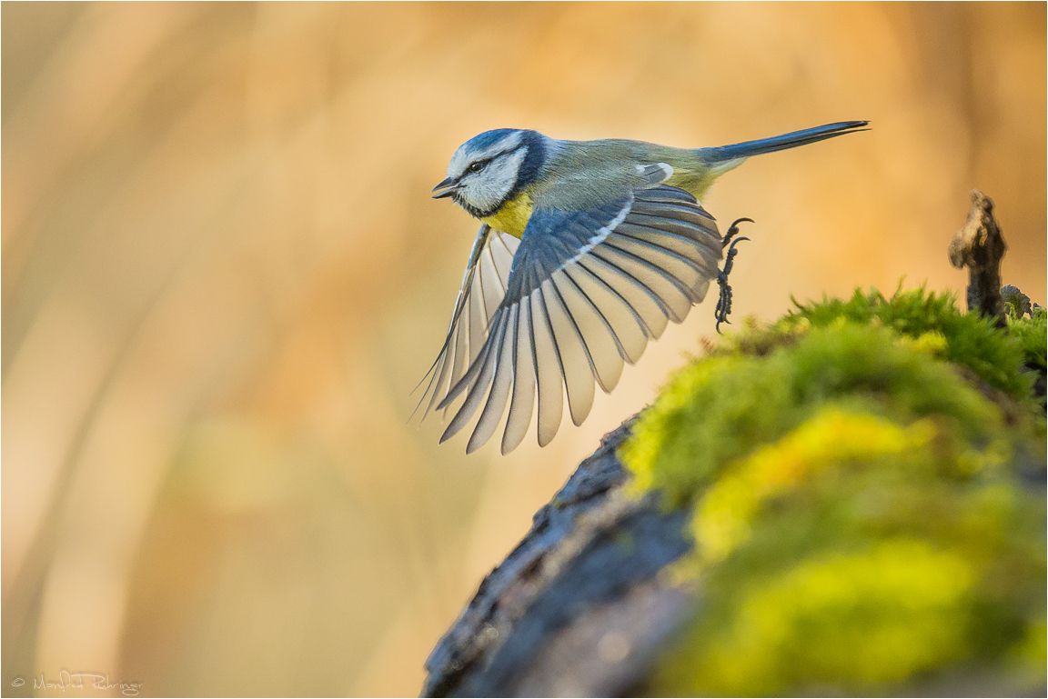 -- take off --