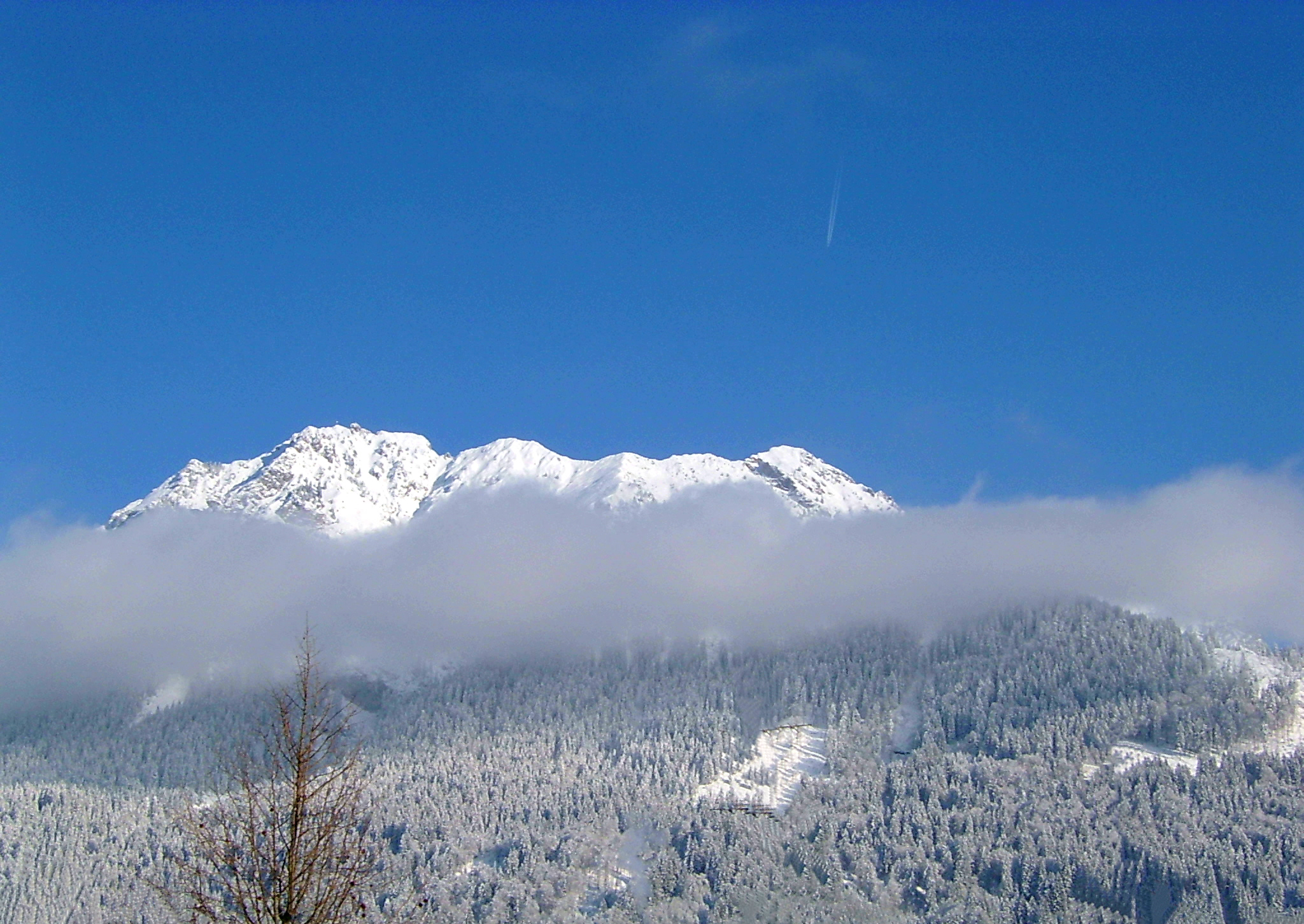 Winter am Berg