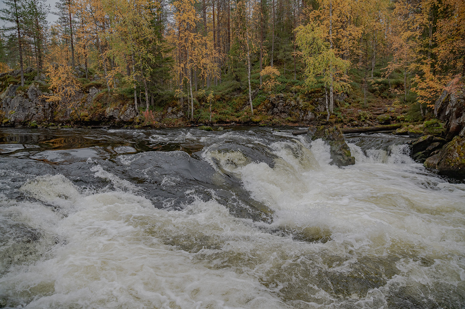 Mühlenwasserfall (Myllykoski Oulanka)