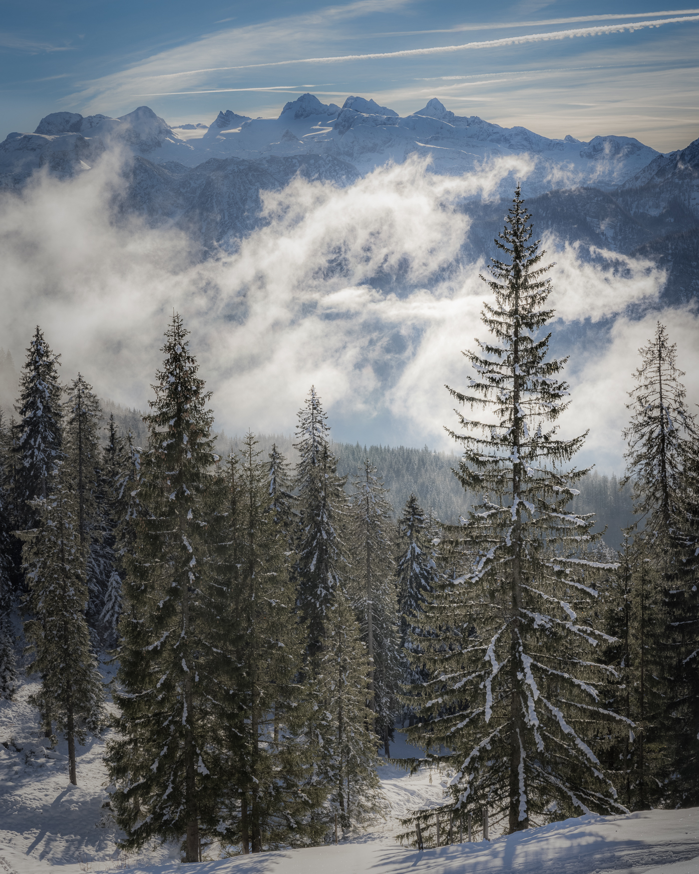 Vorhang auf (Forum für Naturfotografen)