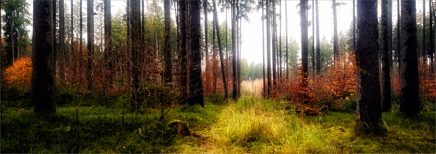 Durchblick