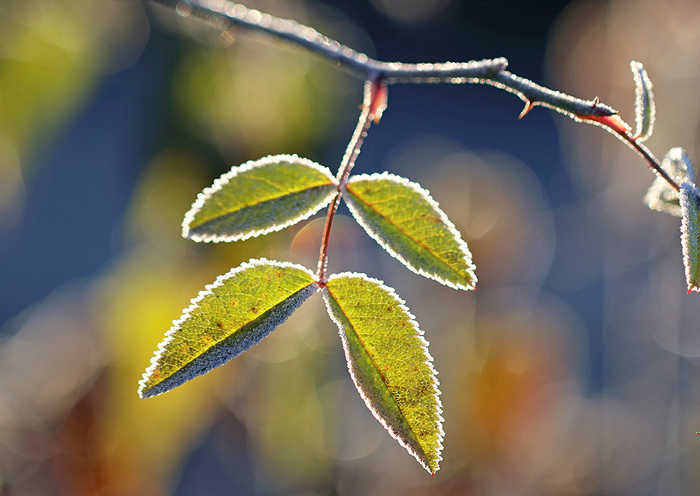 bisschen Farbe