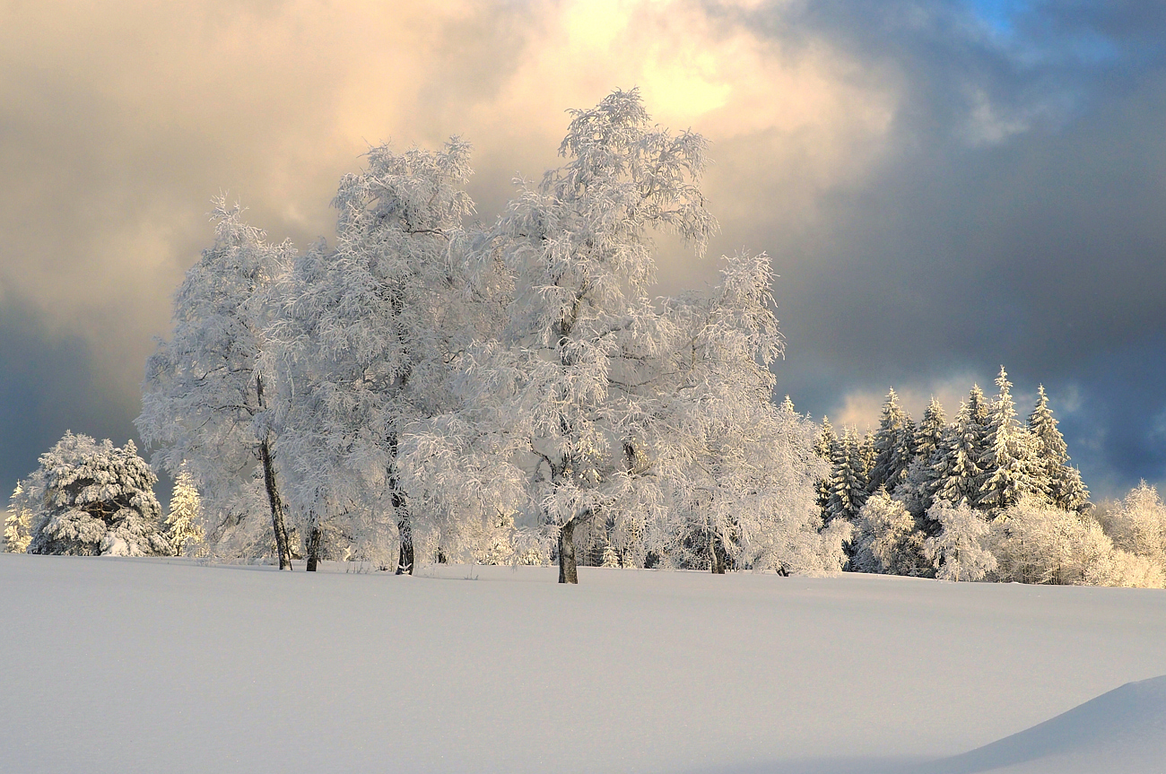 Schwarwaldwinter