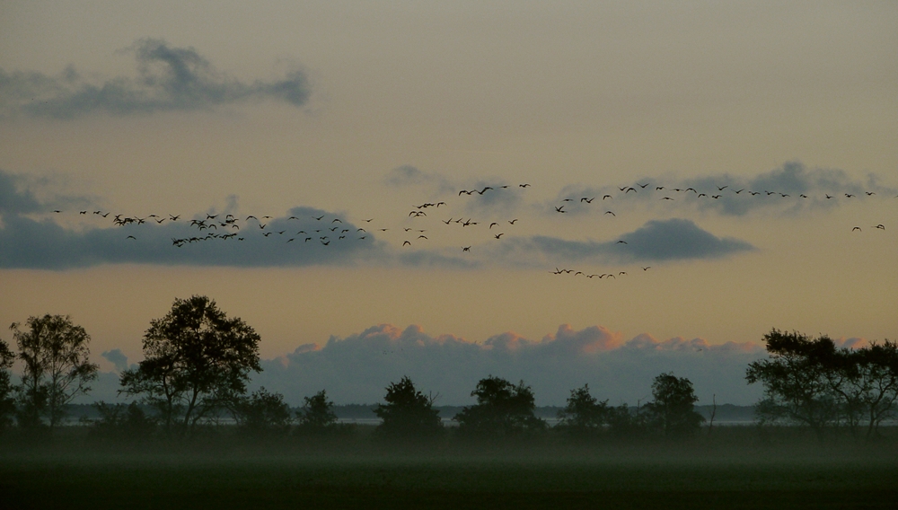 Abendstimmung