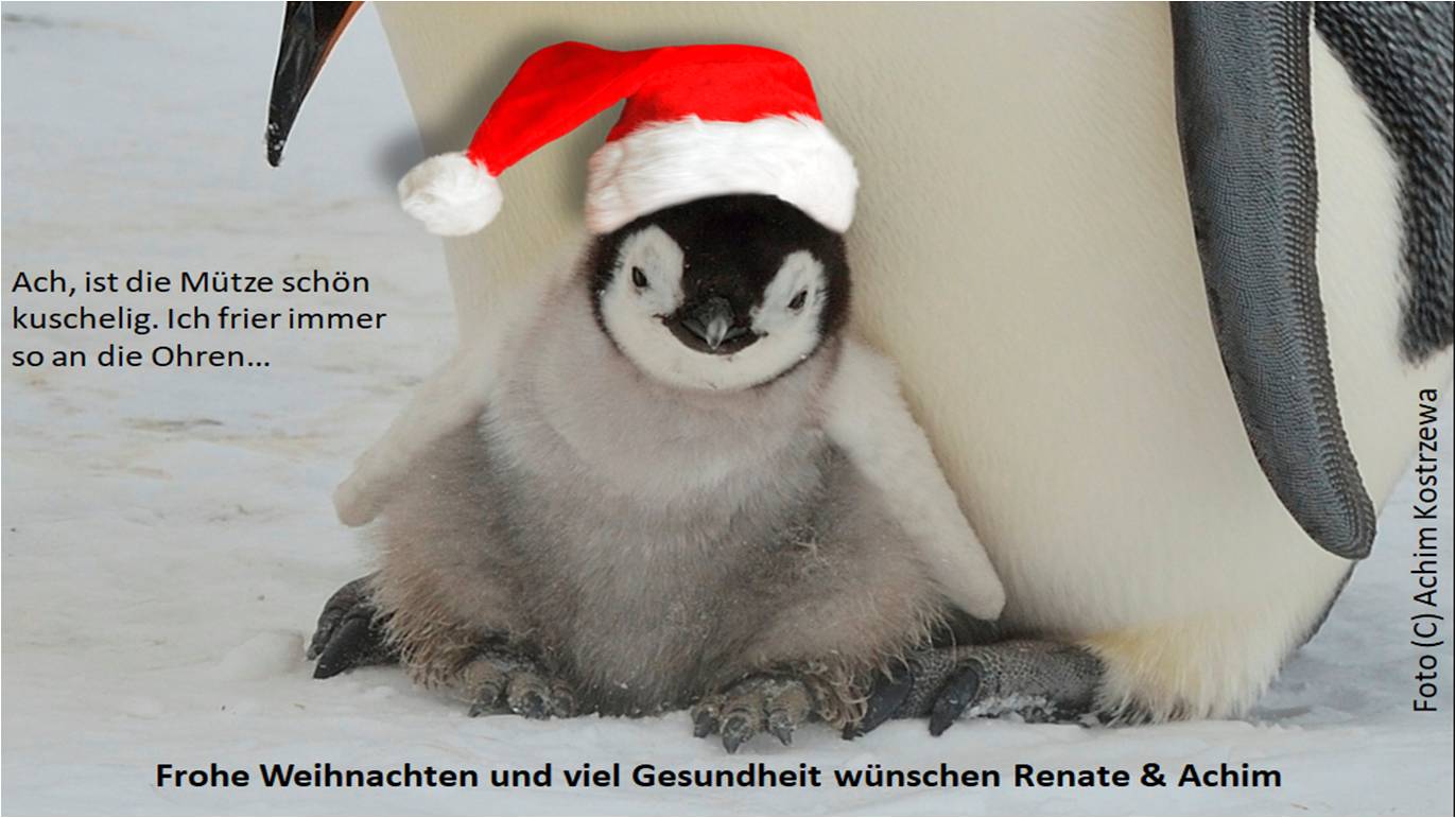frohe Weihnachten und viel Gesundheit