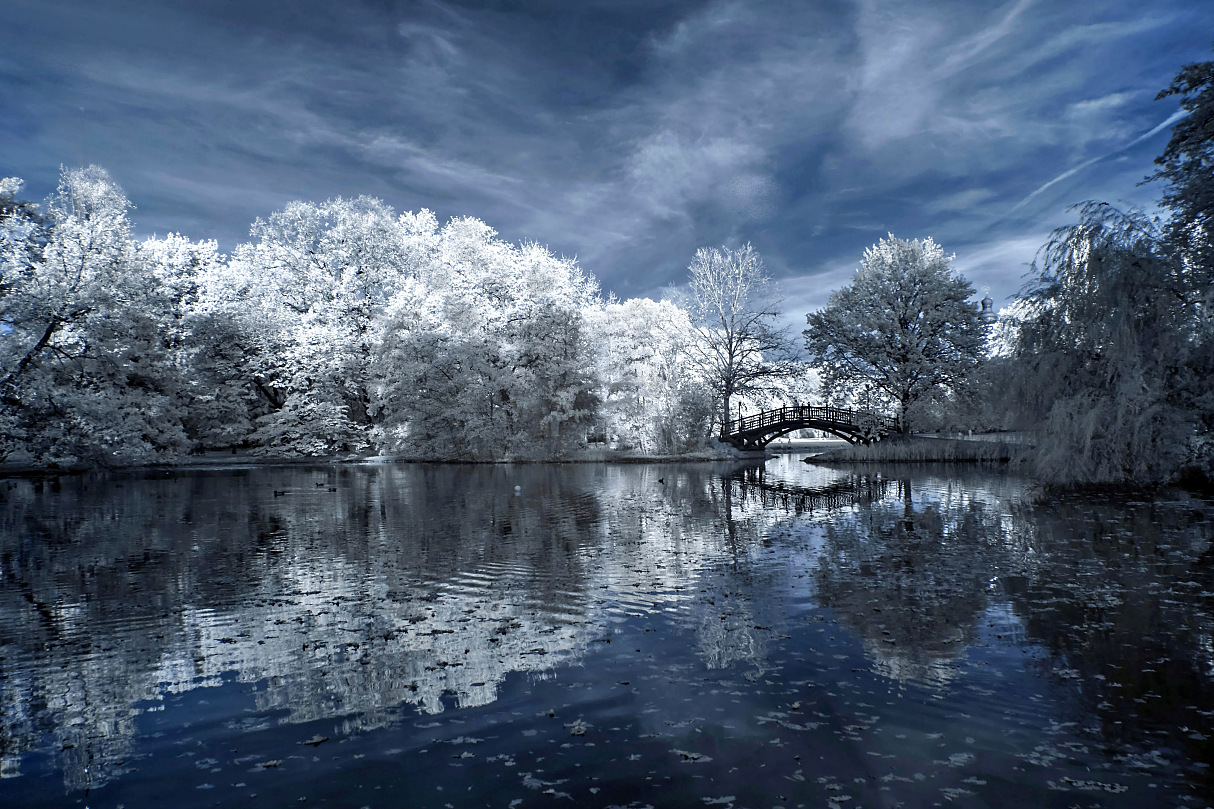 Weihnachtliche Landschaft (Forum für Naturfotografen)