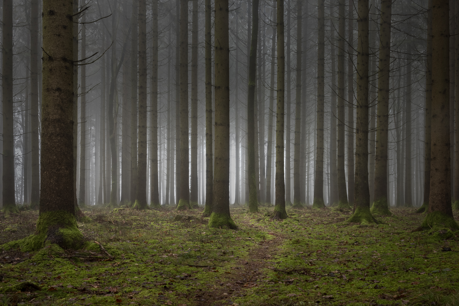 Weg zum Licht