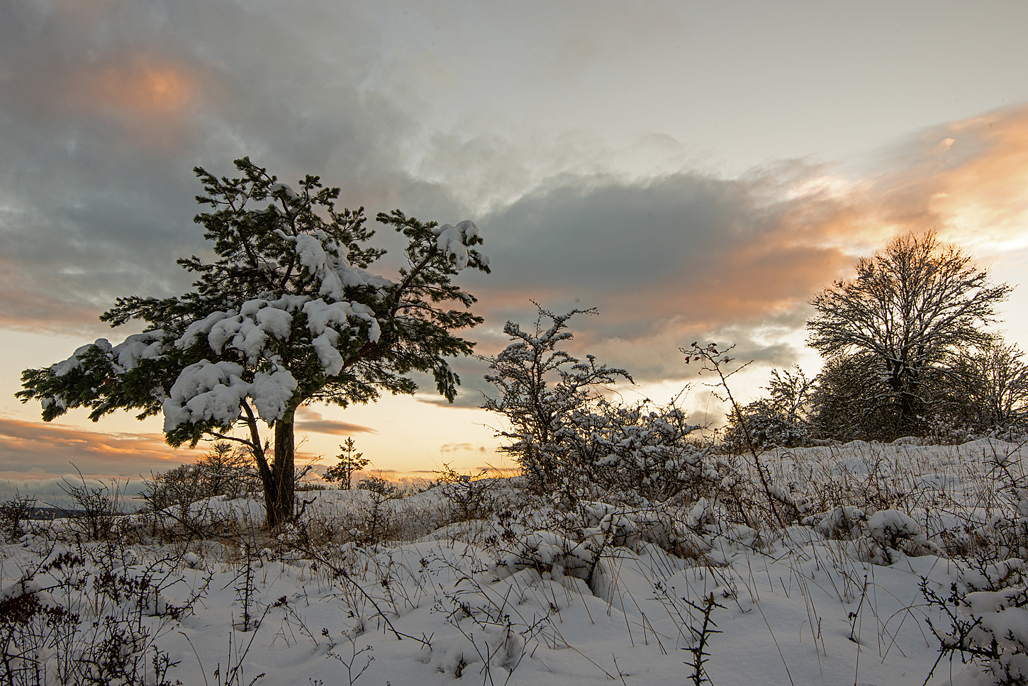 Winterruhe