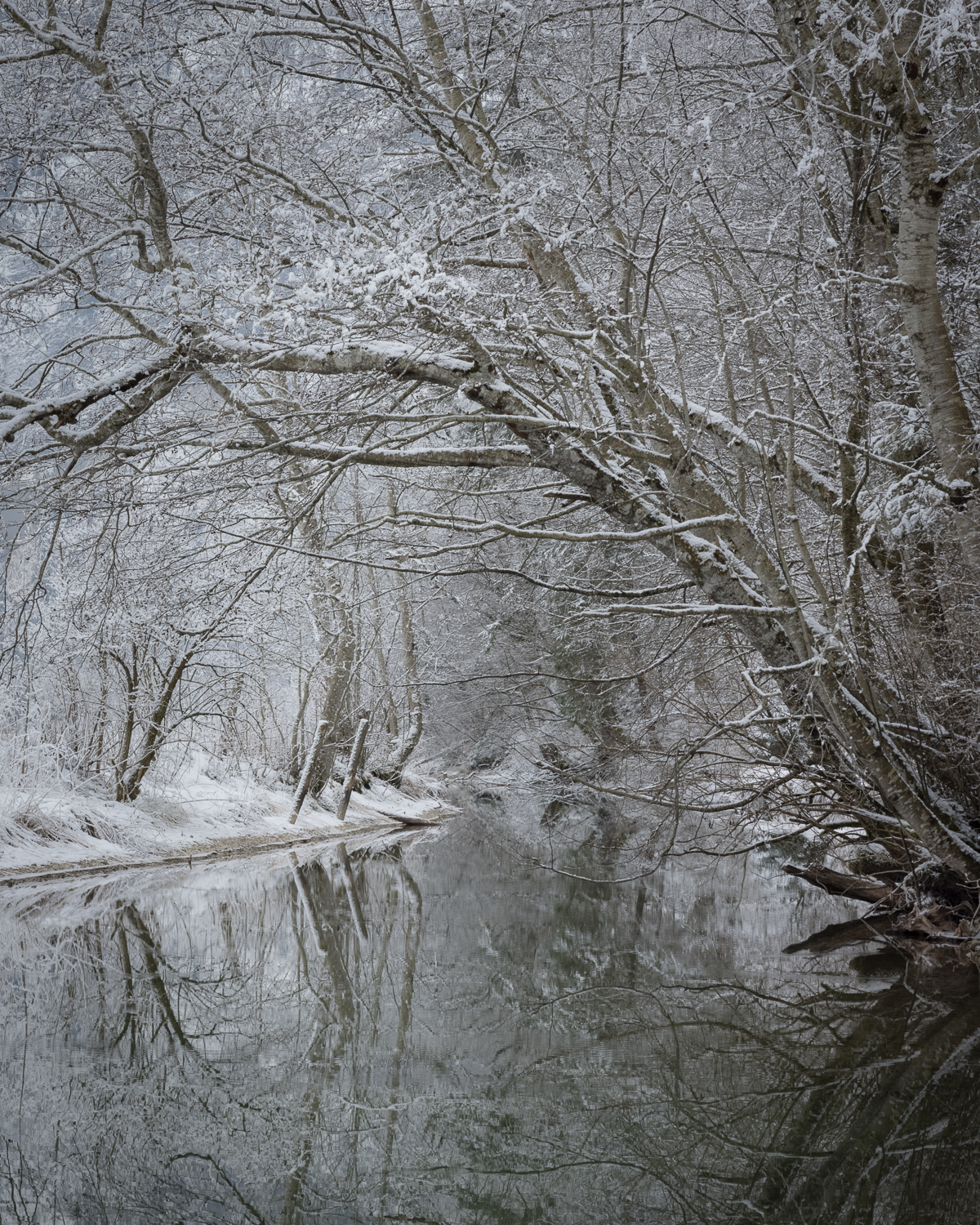 Frostspiegel