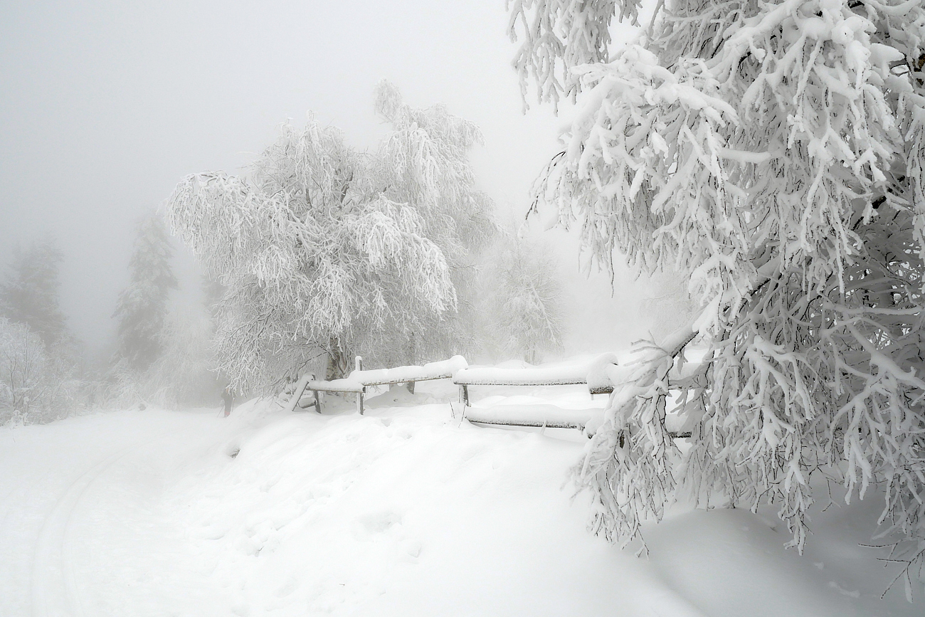 Winter mit Nebel