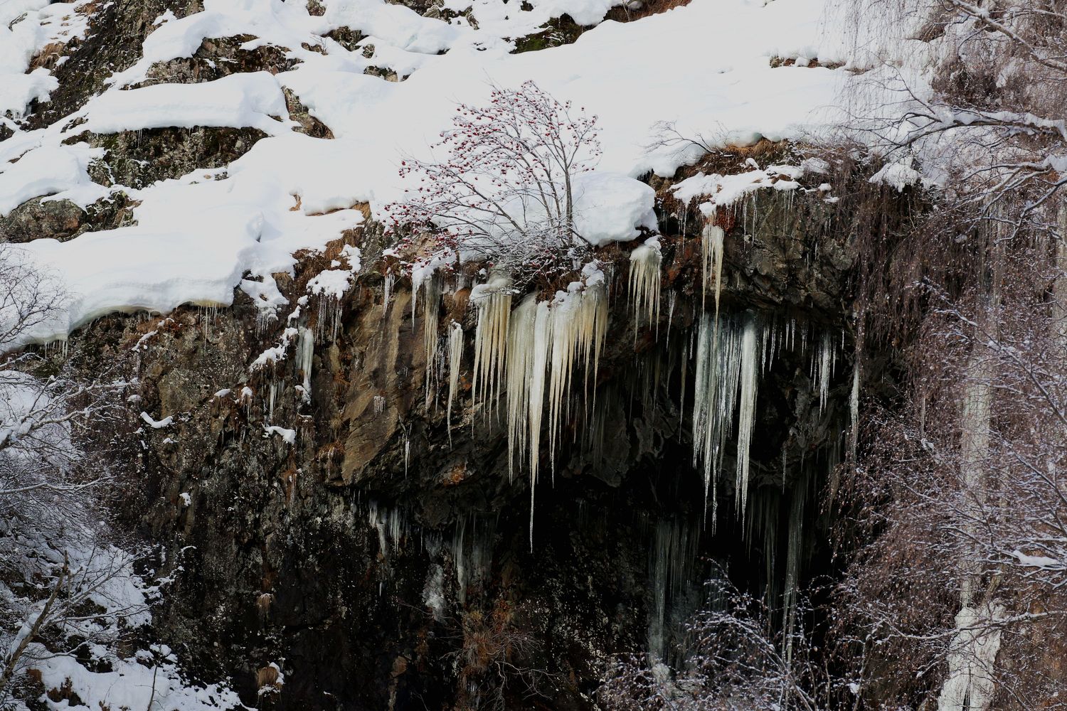 Winterlandschaft