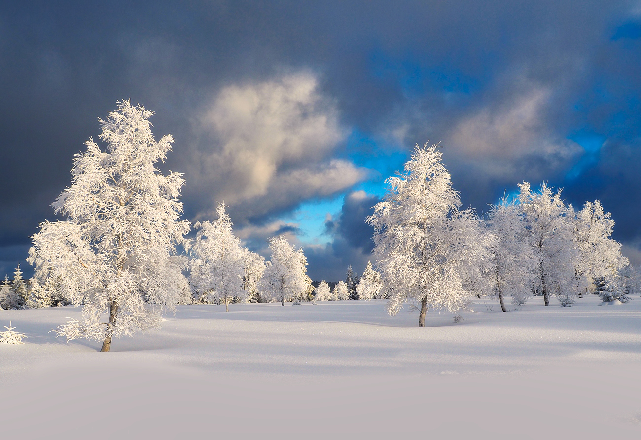 Bilderbuchwinter ?