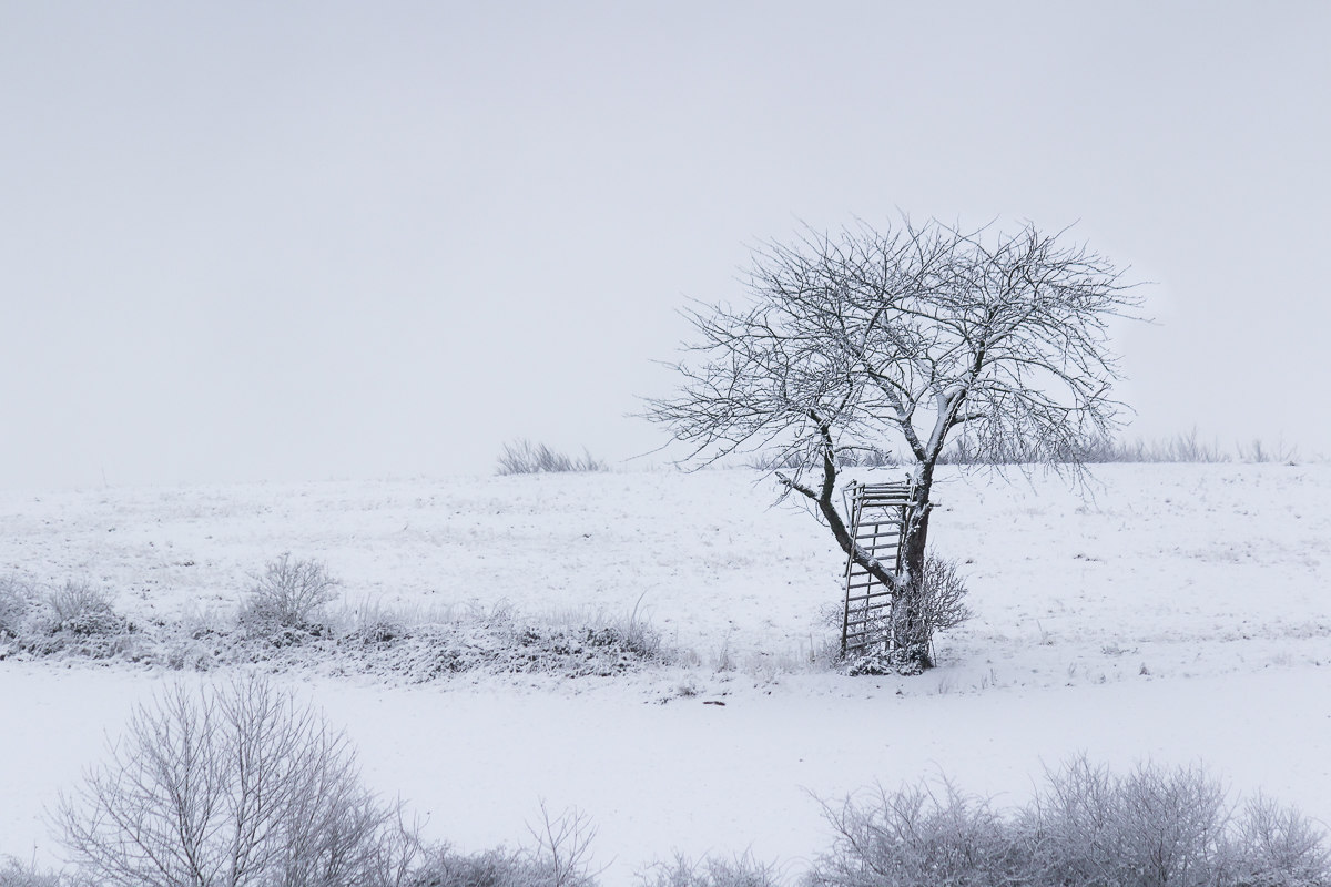 Ruhe in der Winterlandschaft