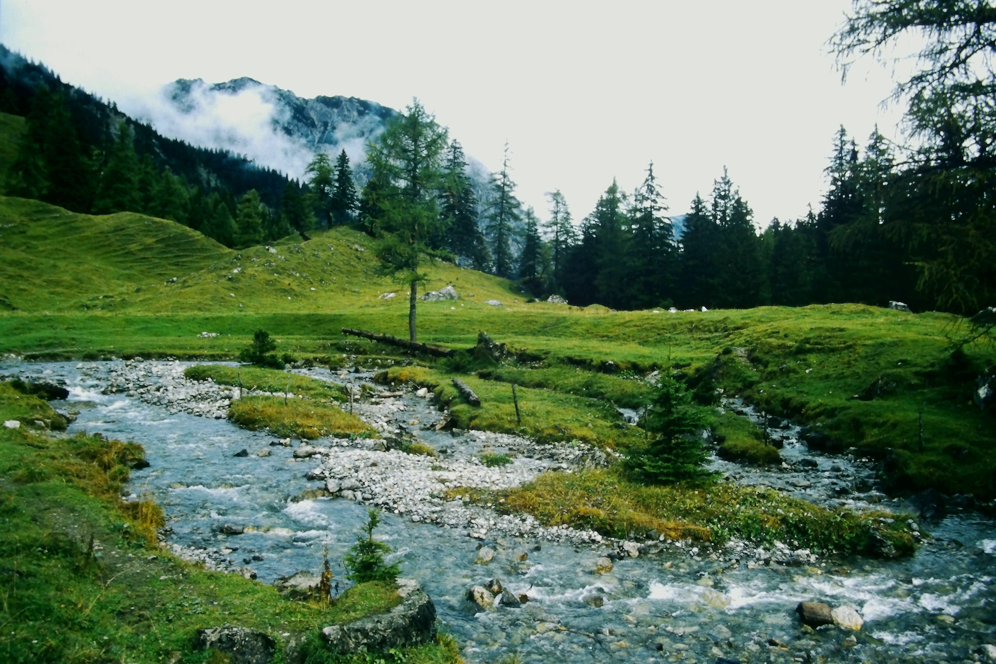 Kleines Bächle im Gebirge