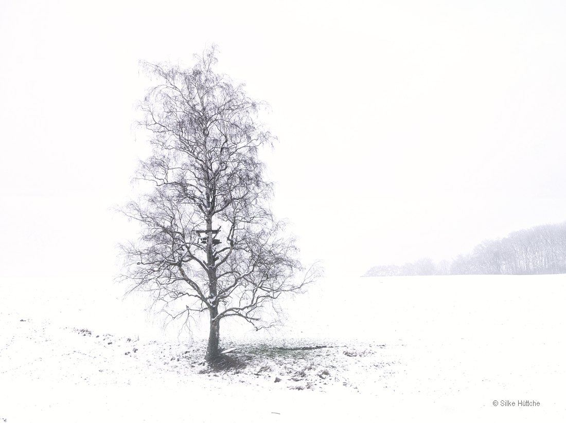 Winter im Bergischen Land