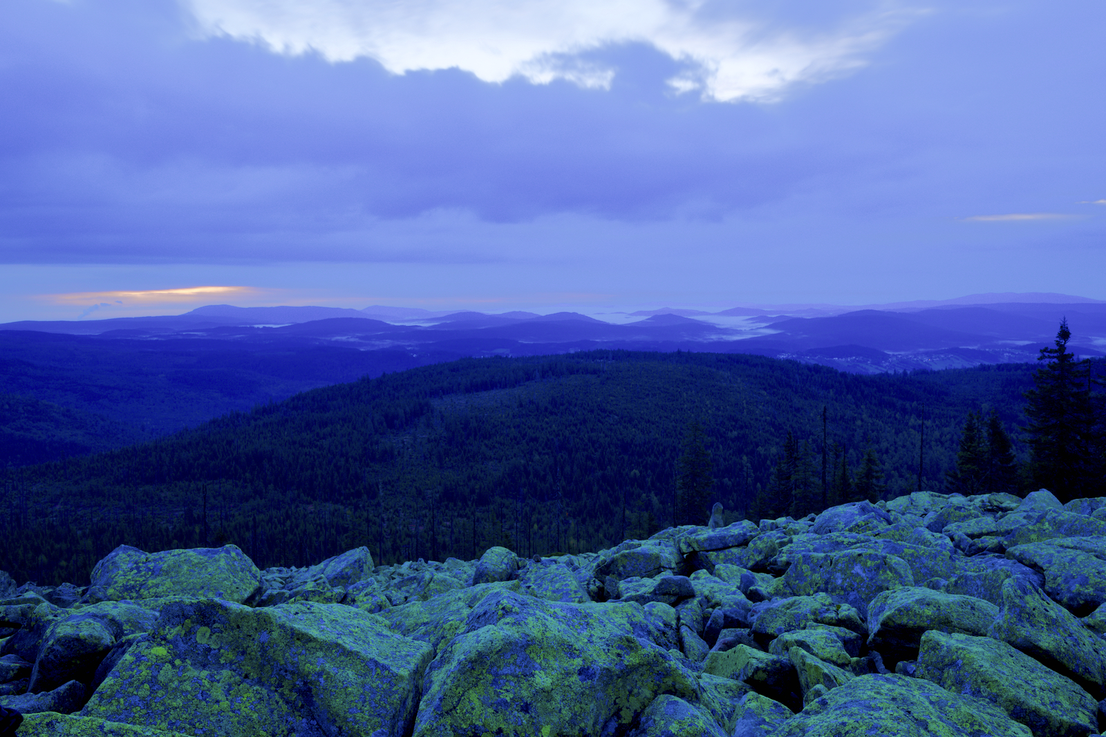 Blaue Stunde am Lusen