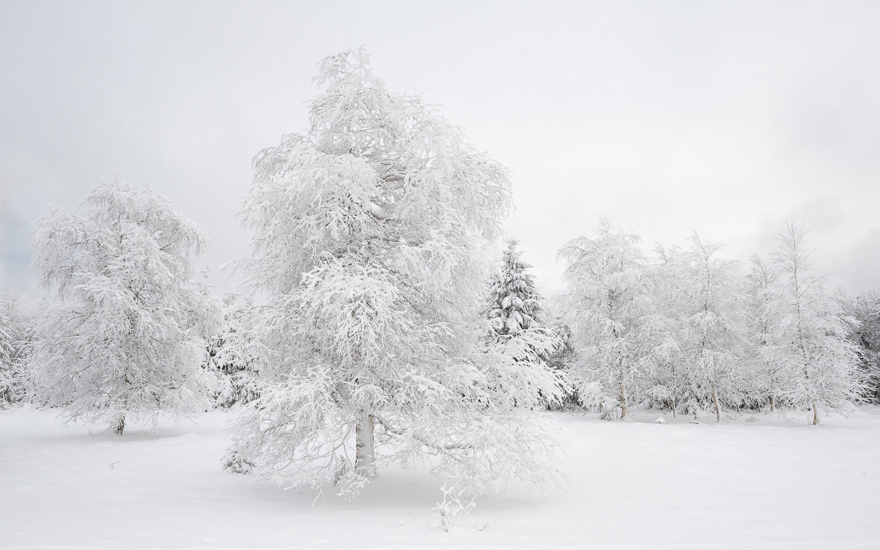 Winterlandschaft