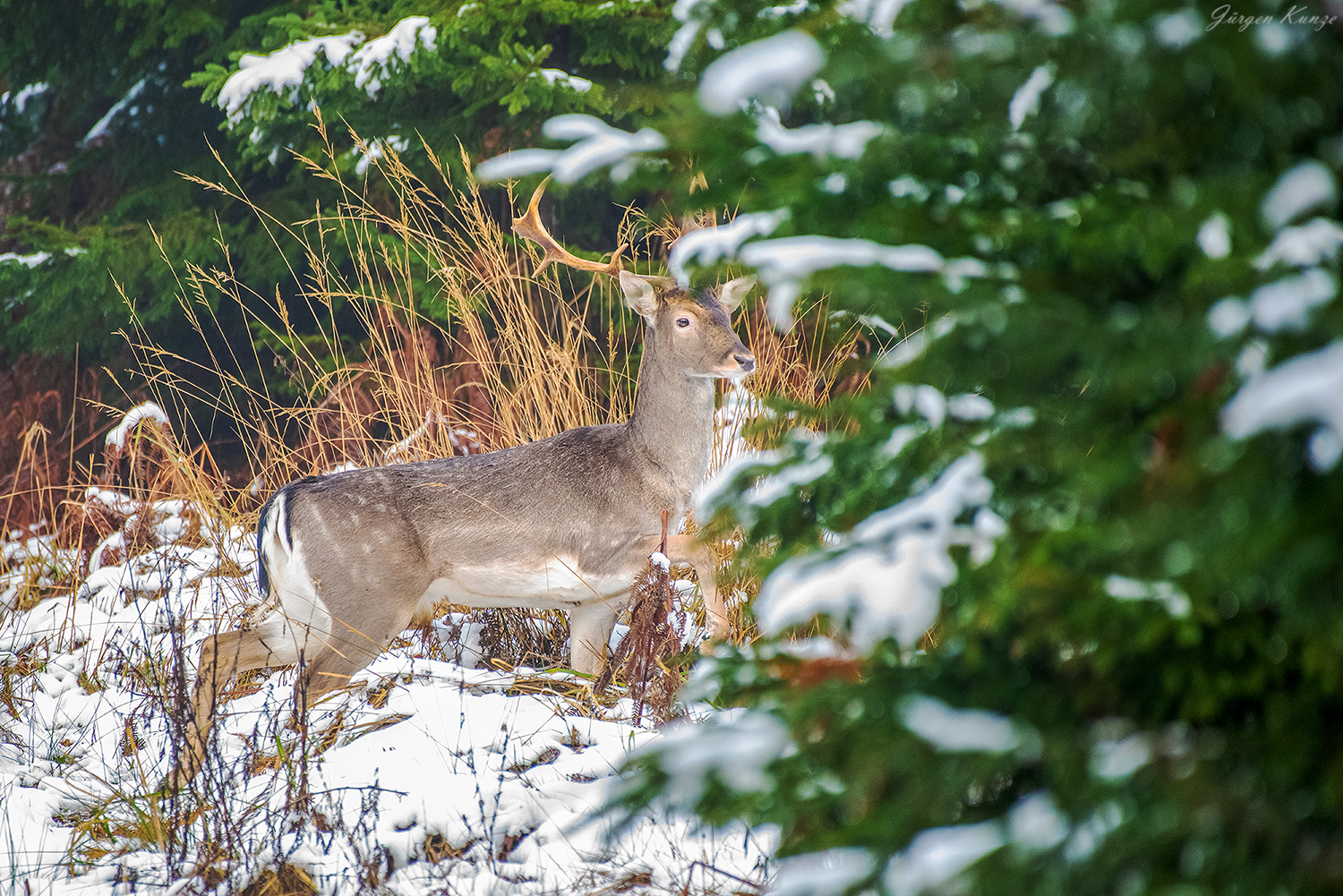 Kleines Winterintermezzo