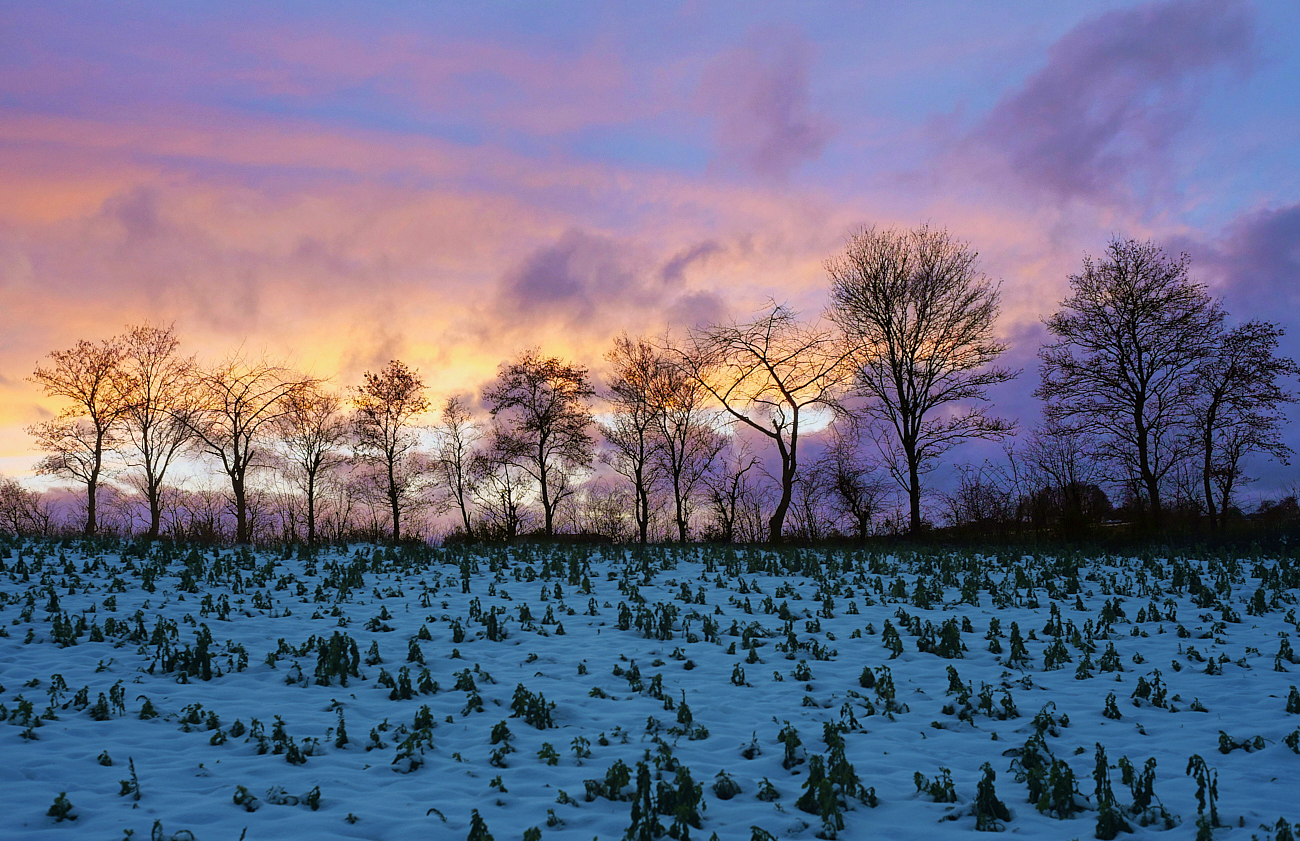 Winterhimmel (Forum für Naturfotografen)