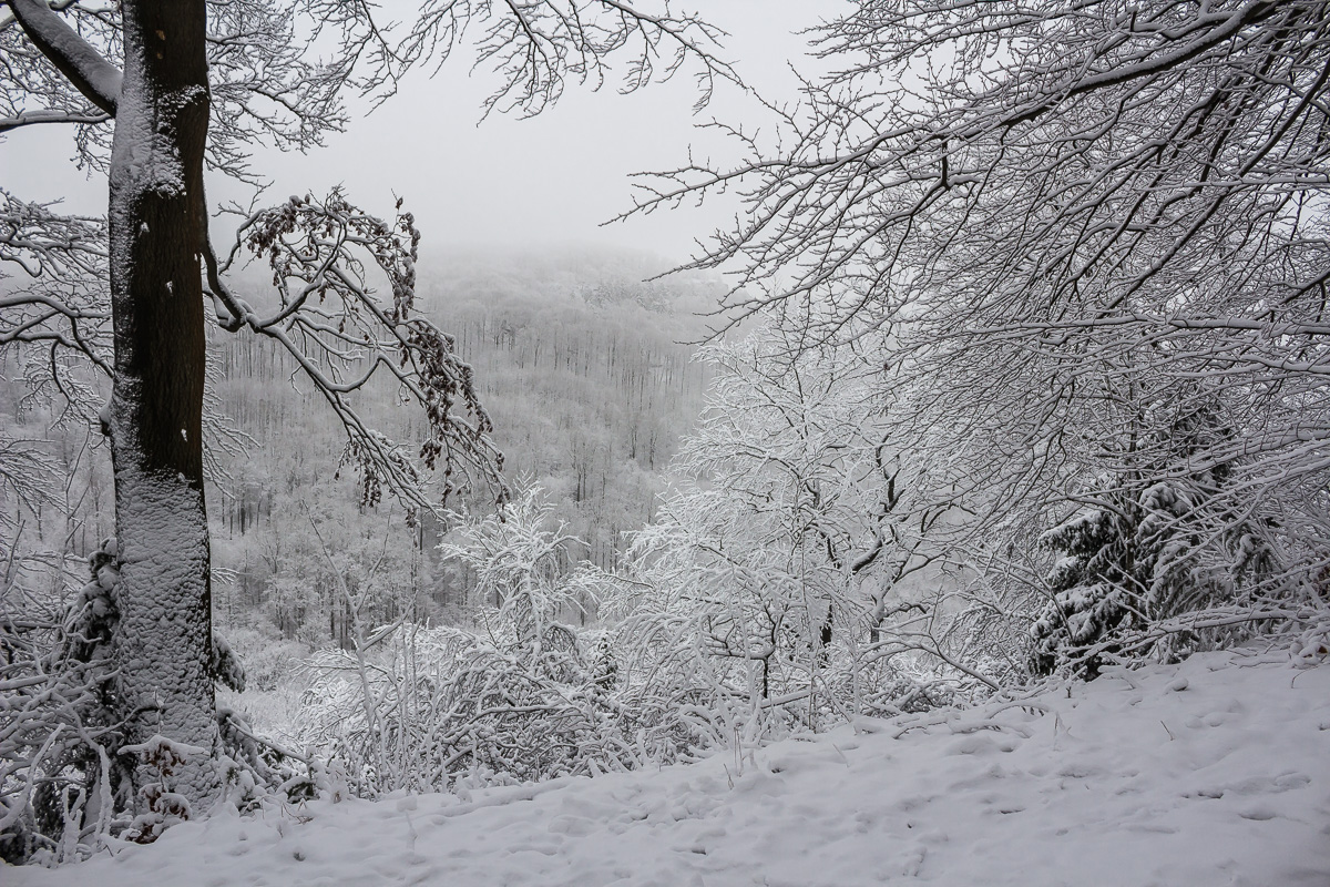 Winter im Weserbergland