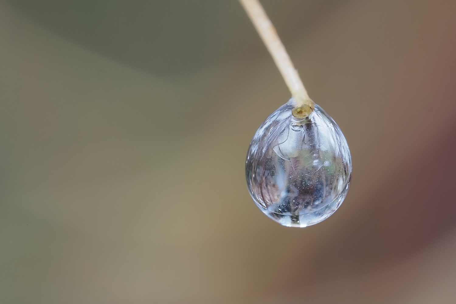 Ein bißchen Frost